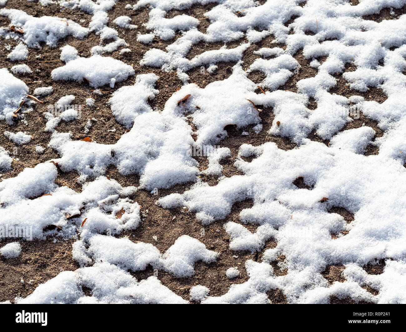 Der erste Schnee auf dem Boden der Stadt Rasen im kalten Herbst Tag Stockfoto