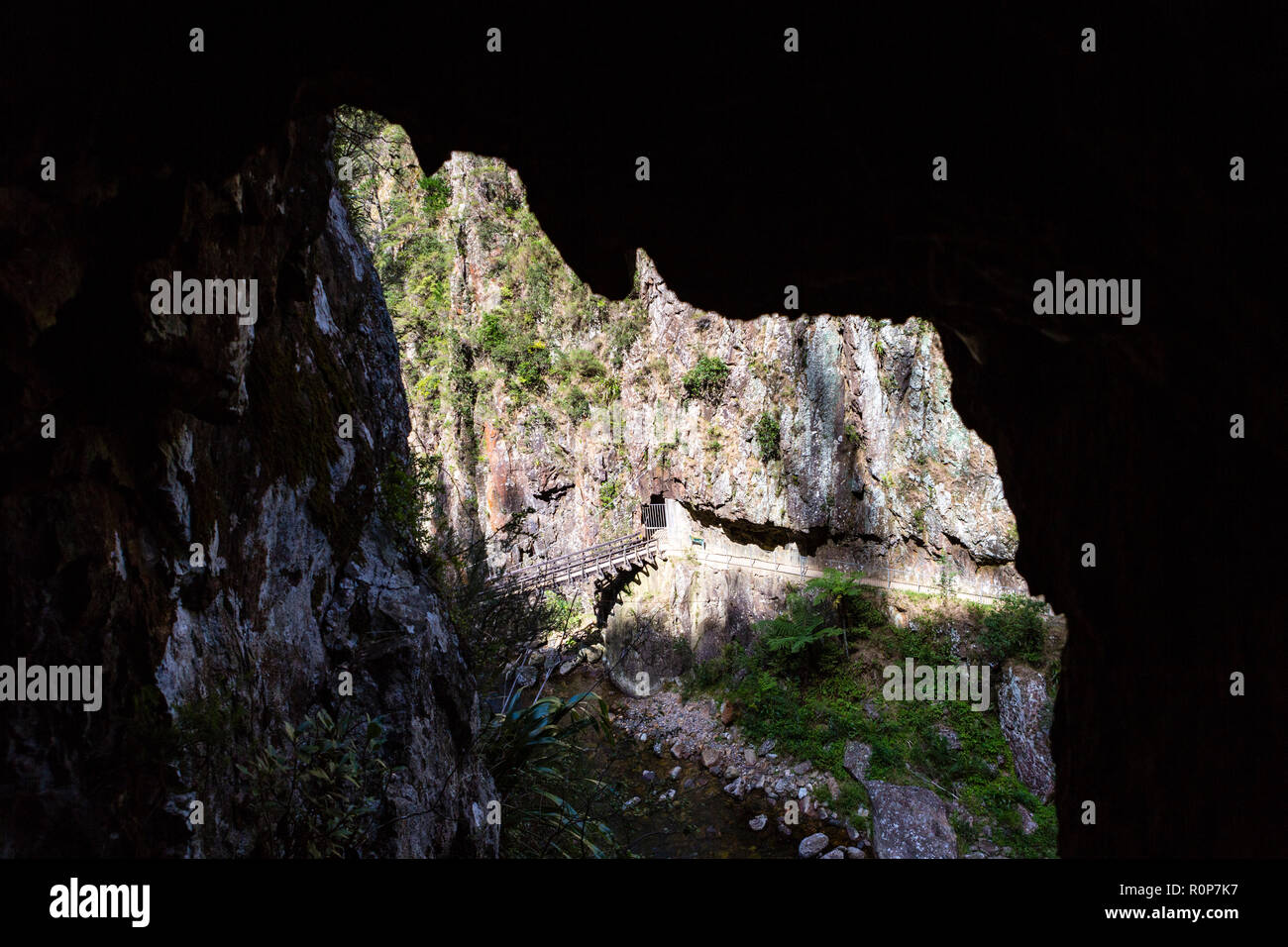 Alte Bergbau Tunnel - Lookout, Coromandel, Neuseeland Stockfoto