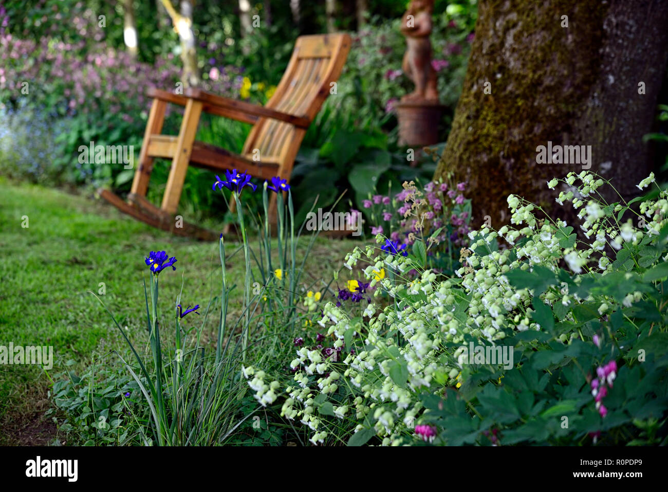 Iris Hollandica Iris X Hollandica Silene Fimbriata Schaukelstuhl Gartenmobel Garten Blau Gelb Blume Blumen Bluten Fruhling Garten Rm Stockfotografie Alamy