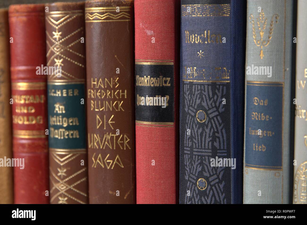 Deutschland. 05 Nov, 2018. Verschiedene Buchrücken ändern / der deutschen Literatur in den Einbänden. Symbolbild im Bereich Literatur, Lesen, Bücher, … | Nutzung der weltweiten Kredit: dpa/Alamy leben Nachrichten Stockfoto