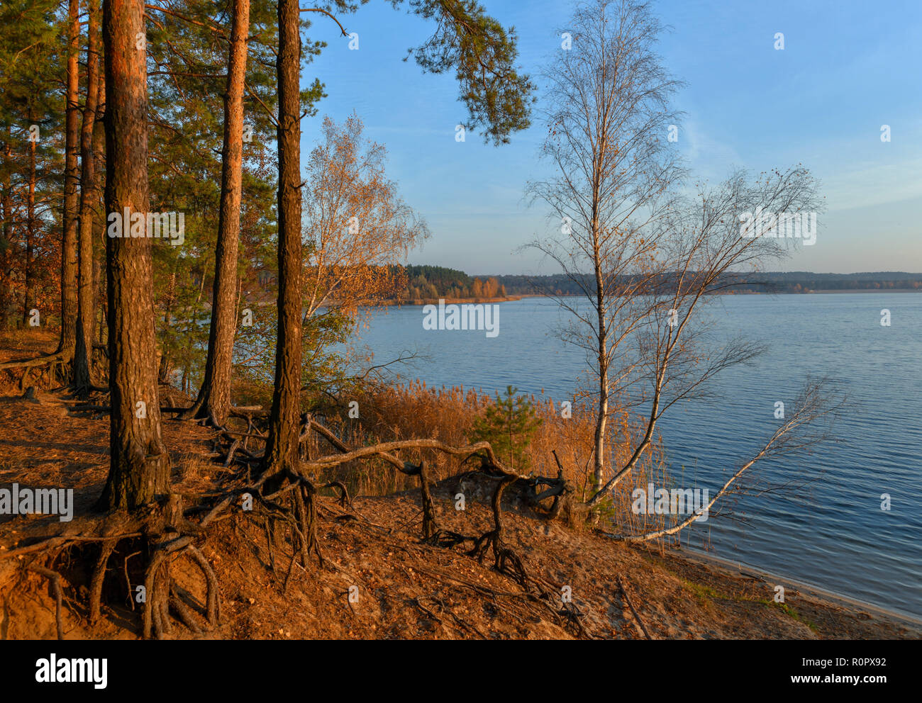 06. November 2018, Brandenburg, Frankfurt (Oder): Sonnenaufgang über dem See Helene. Helene See, einem der beliebtesten Baden in Brandenburger Seen, wurde aus einer offenen erstellt aus Braunkohle Bergwerk, in dem Kohle zwischen 1930 und 1959 abgebaut wurde. Grundwasser Erstellt eine Wasserfläche von 250 Hektar. Foto: Patrick Pleul/dpa-Zentralbild/ZB Stockfoto