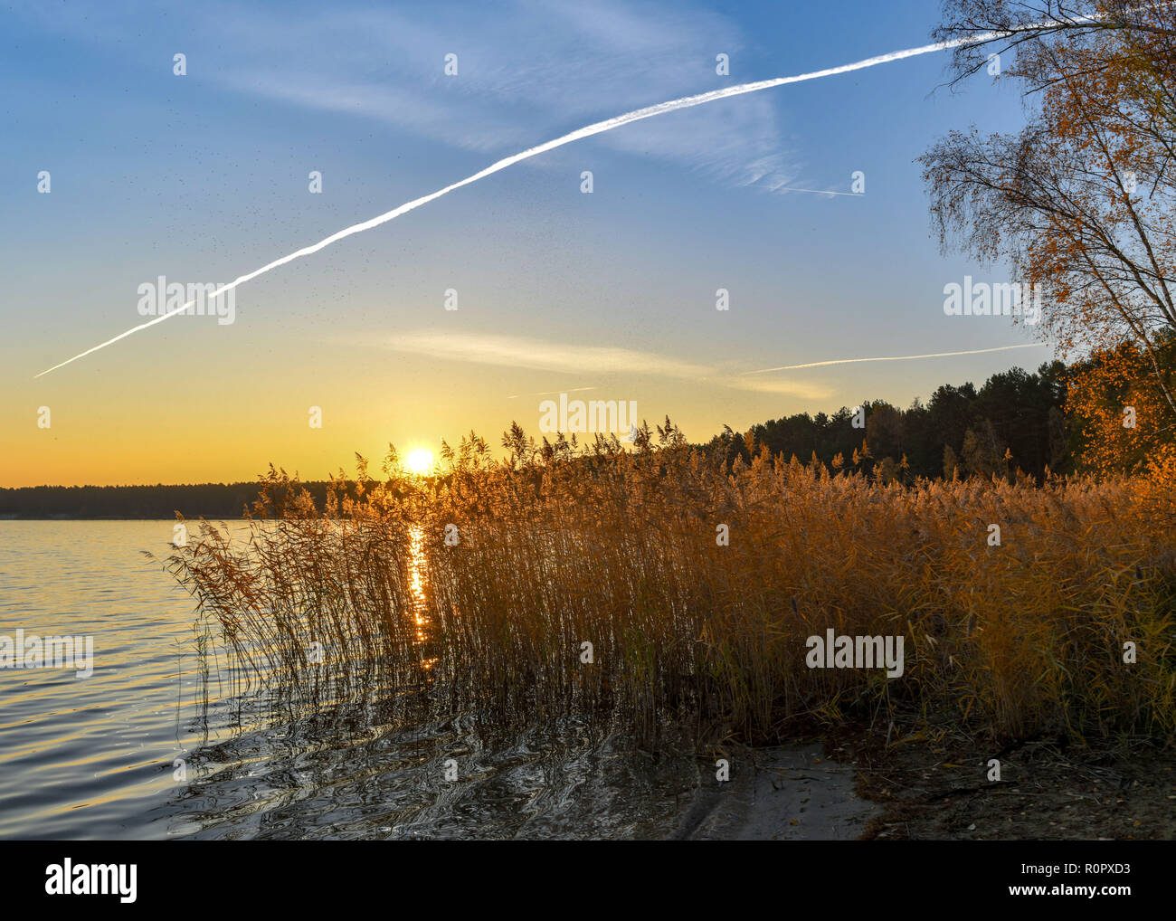 06. November 2018, Brandenburg, Frankfurt (Oder): Sonnenaufgang über dem See Helene. Helene See, einem der beliebtesten Baden in Brandenburger Seen, wurde aus einer offenen erstellt aus Braunkohle Bergwerk, in dem Kohle zwischen 1930 und 1959 abgebaut wurde. Grundwasser Erstellt eine Wasserfläche von 250 Hektar. Foto: Patrick Pleul/dpa-Zentralbild/ZB Stockfoto