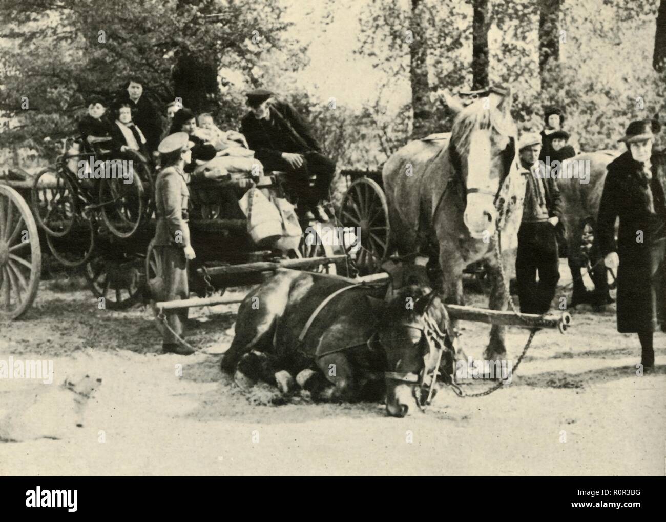 "Belgische Flüchtlinge auf der Straße', 1939-1940, (1941). Schöpfer: Unbekannt. Stockfoto