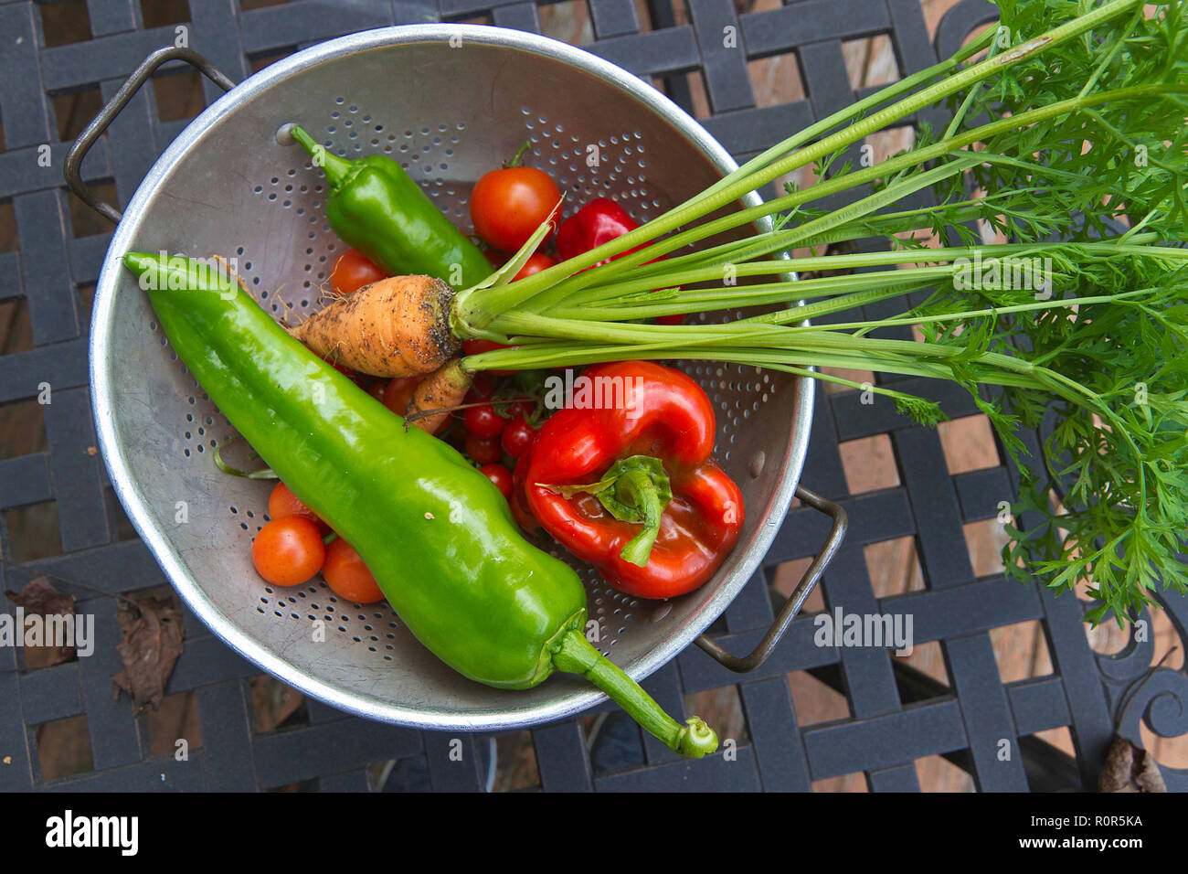 Ein Sieb mit rohen gefüllt, lebhaft bunt, frisch gepflückt Garten Gemüse noch crusty mit Boden Stockfoto