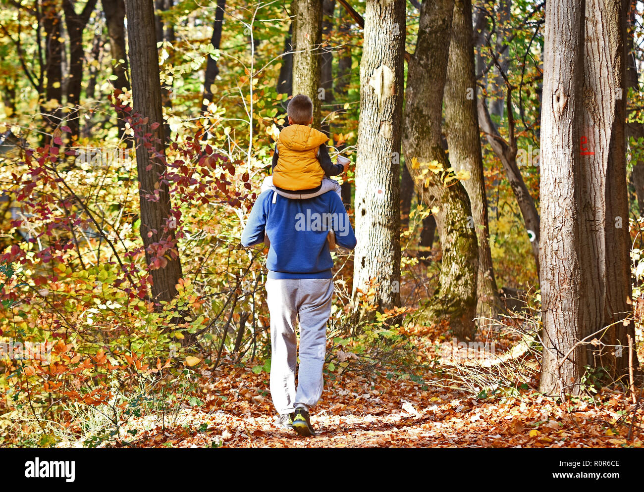 Vater mit Sohn auf Seinen Schultern zu Fuß in den Wald. Ansicht von hinten. Berg Fruska Gora in der Nähe der Stadt Novi Sad, Sebia Stockfoto