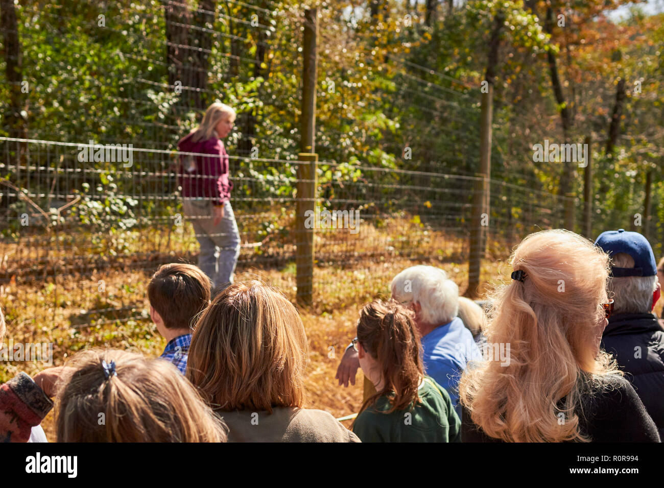 Ein Sachverständiger beauftragt Massen von Zuschauern zu einem Open House am Wolf Sanctuary von Pennsylvania in Lancaster County Stockfoto