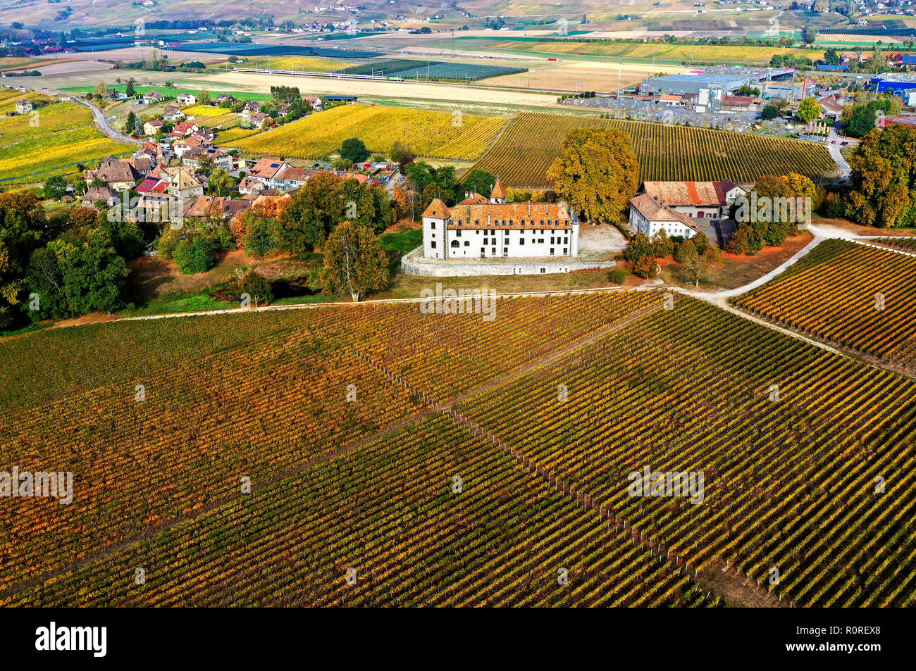 Drone Bild, Dorf und Schloss Outre-vièze 41, umgeben von Weinbergen, Outre-vièze 41, Kanton Waadt, Schweiz Stockfoto