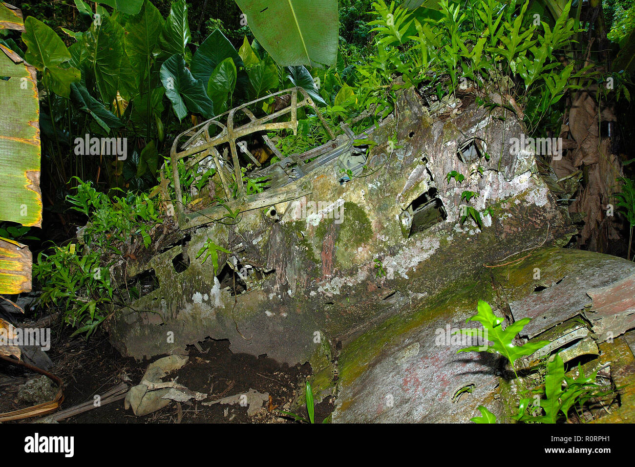 Zerschmetterte Kampfflugzeug des Zweiten Welt Krieg im Jungle, Palau, Mikronesien Stockfoto