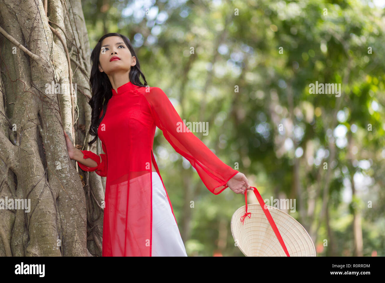 Attraktive junge asiatische Frau in einem farbenfrohen Roten traditionelle vietnamesische Kleid graziös lehnte sich an einen Baum, Low Angle View Stockfoto