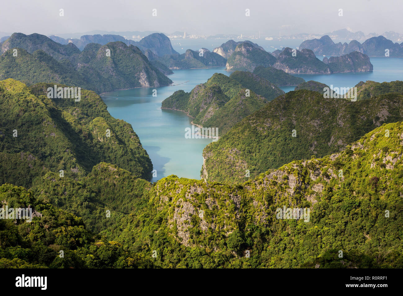 Halong Bucht Archipel top Aussicht von Cat Ba Island, Vietnam Stockfoto