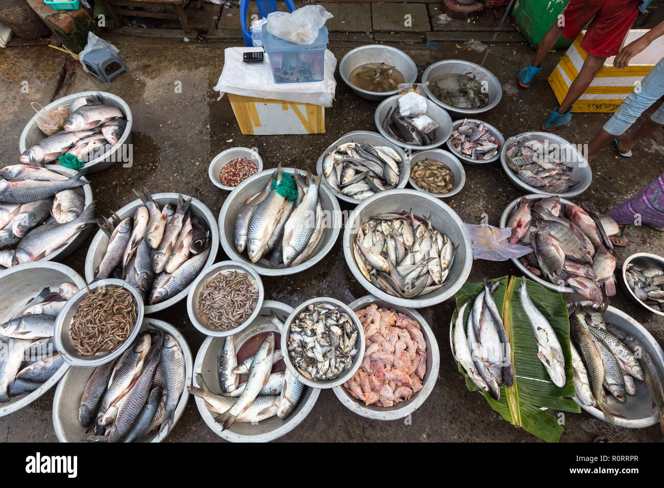 Frische Fische in einem asiatischen Markt in Mandalay, Myanmar Stockfoto