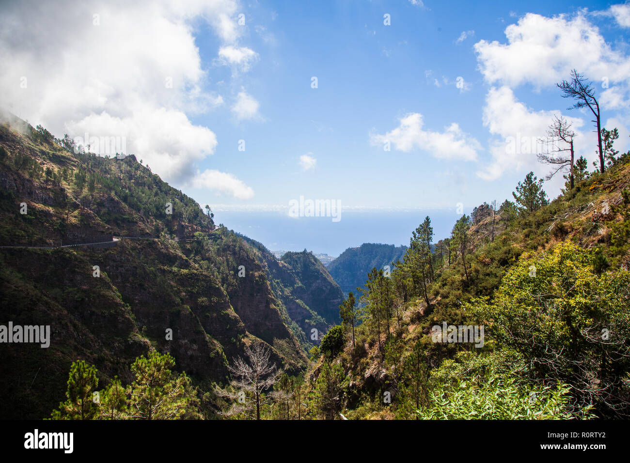 Blick auf Curral das Freiras Tal, auf der Insel Madeira, Portugal Stockfoto