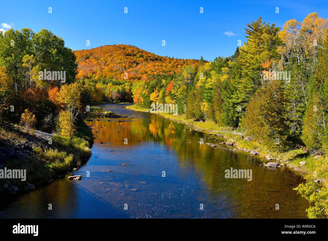Ein Herbst Landschaften Bild entlang der Hammond River in der Nähe von barnsville New Brunswick Kanada. Stockfoto