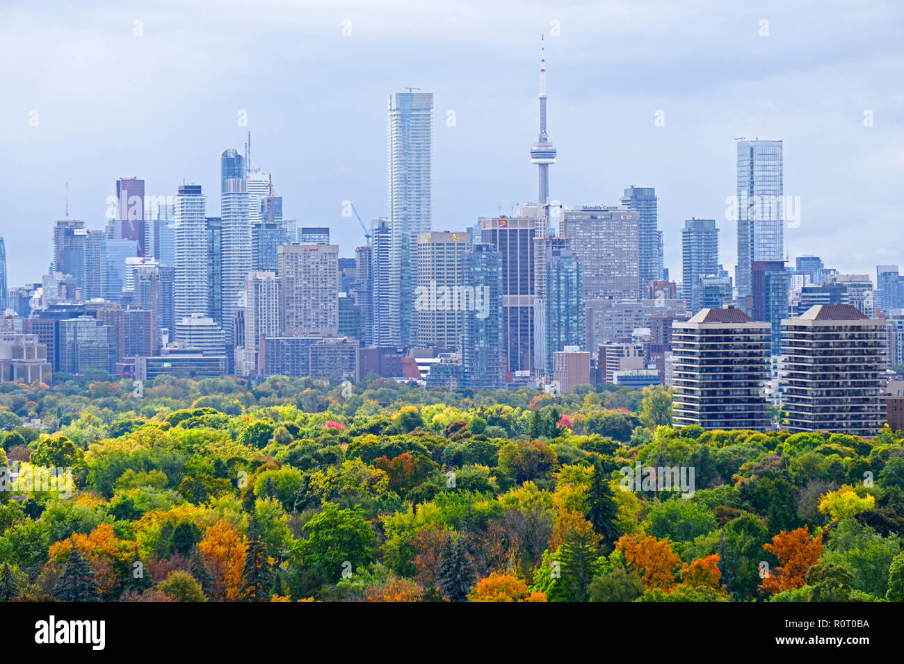 Toronto Downtown und Midtown Skyline mit Herbst Blatt Farben vor die berühmten Wolkenkratzer bei bewölktem Himmel am 17. Oktober 2018 Stockfoto