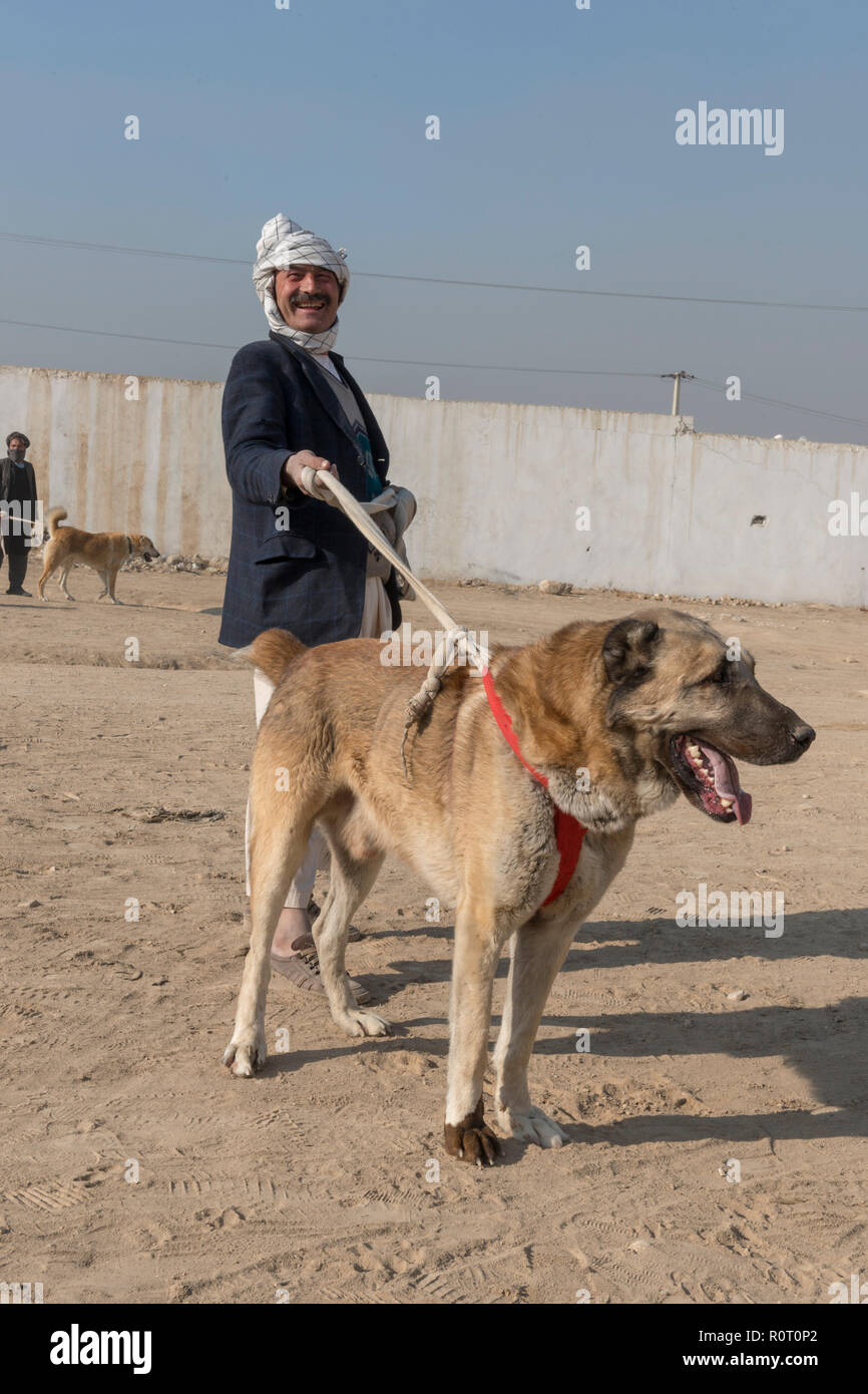 Zuschauer von Hund kämpfen am Freitag in Mazar-i-Sharif, Provinz Balkh, Afghanistan Stockfoto