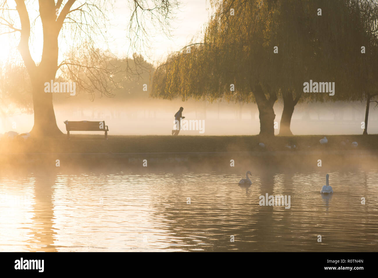 Der Mensch läuft unter Weeping Willow Tree am frühen Morgen Sonne durch den Nebel am Avon in typisch englischer Riverside Szene gesehen Stockfoto