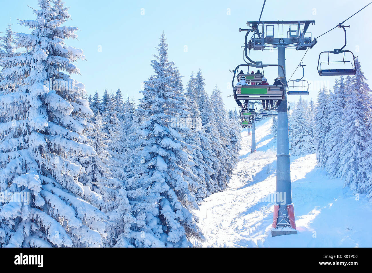 Skigebiet Kopaonik, Serbien, Skipiste, Menschen auf der Skilift, verschneite Tannen panorama Stockfoto