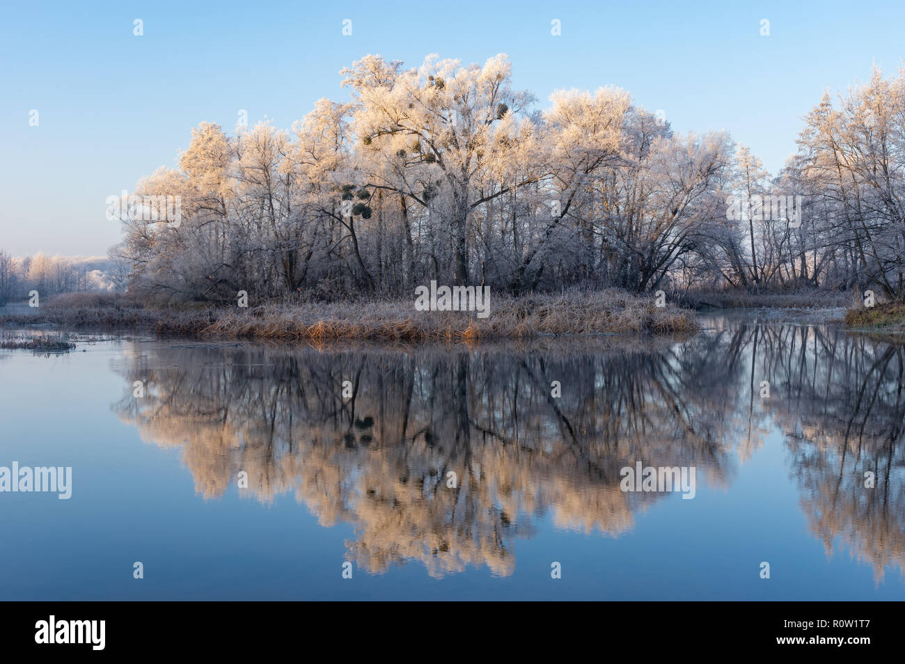 Schönen Morgen am Fluss Worskla zu spät herbstlichen Jahreszeit, Sumskaja Oblast, Ukraine Stockfoto