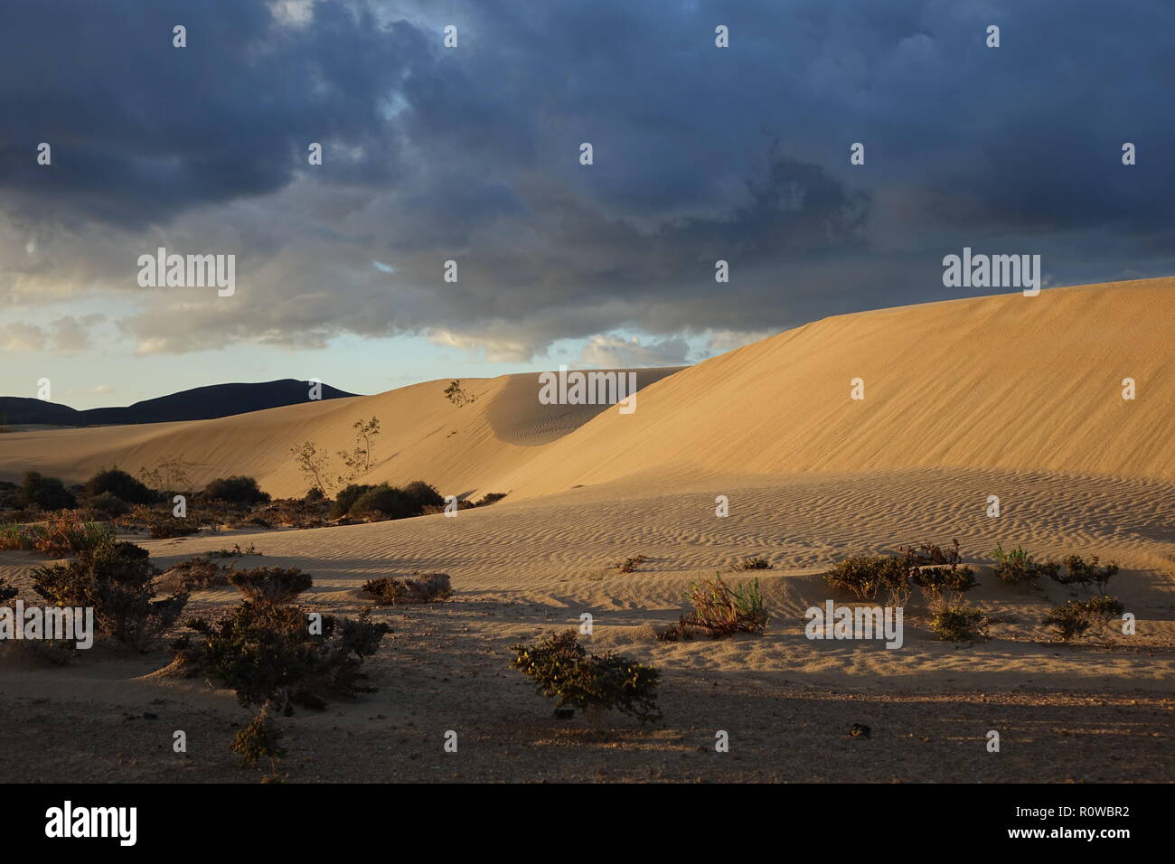 Sonne und dunkle dramatische cloads erstellen Eine schöne interessante Himmel über Wüstensand im Naturpark von Corralejo, Fuerteventura, Las Palmas, Kanarische i Stockfoto