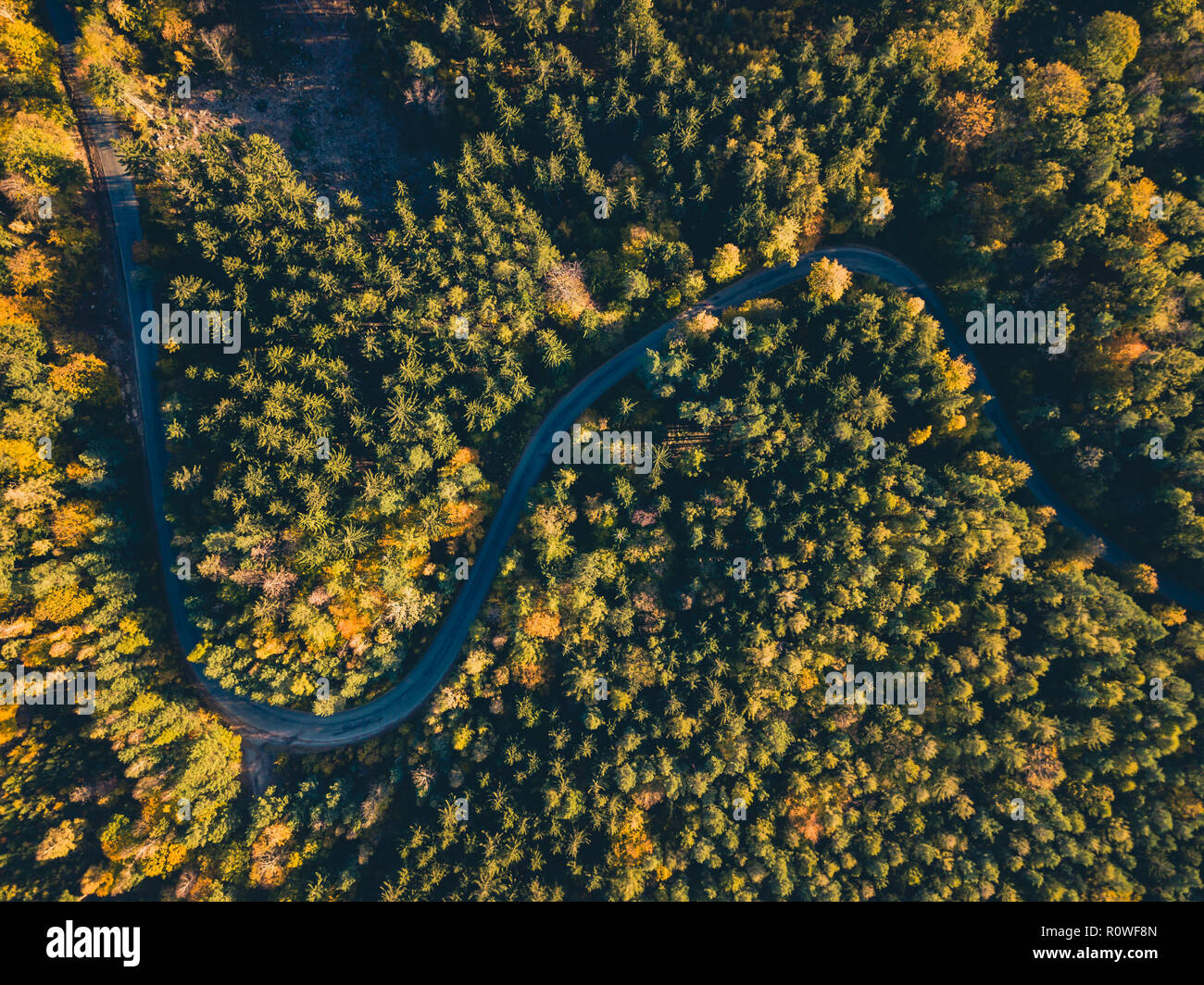 Luftaufnahme von der Straße in den Wald, Ansicht von oben, drone Sicht. Inspirierende Herbst Landschaft Hintergrund. Stockfoto