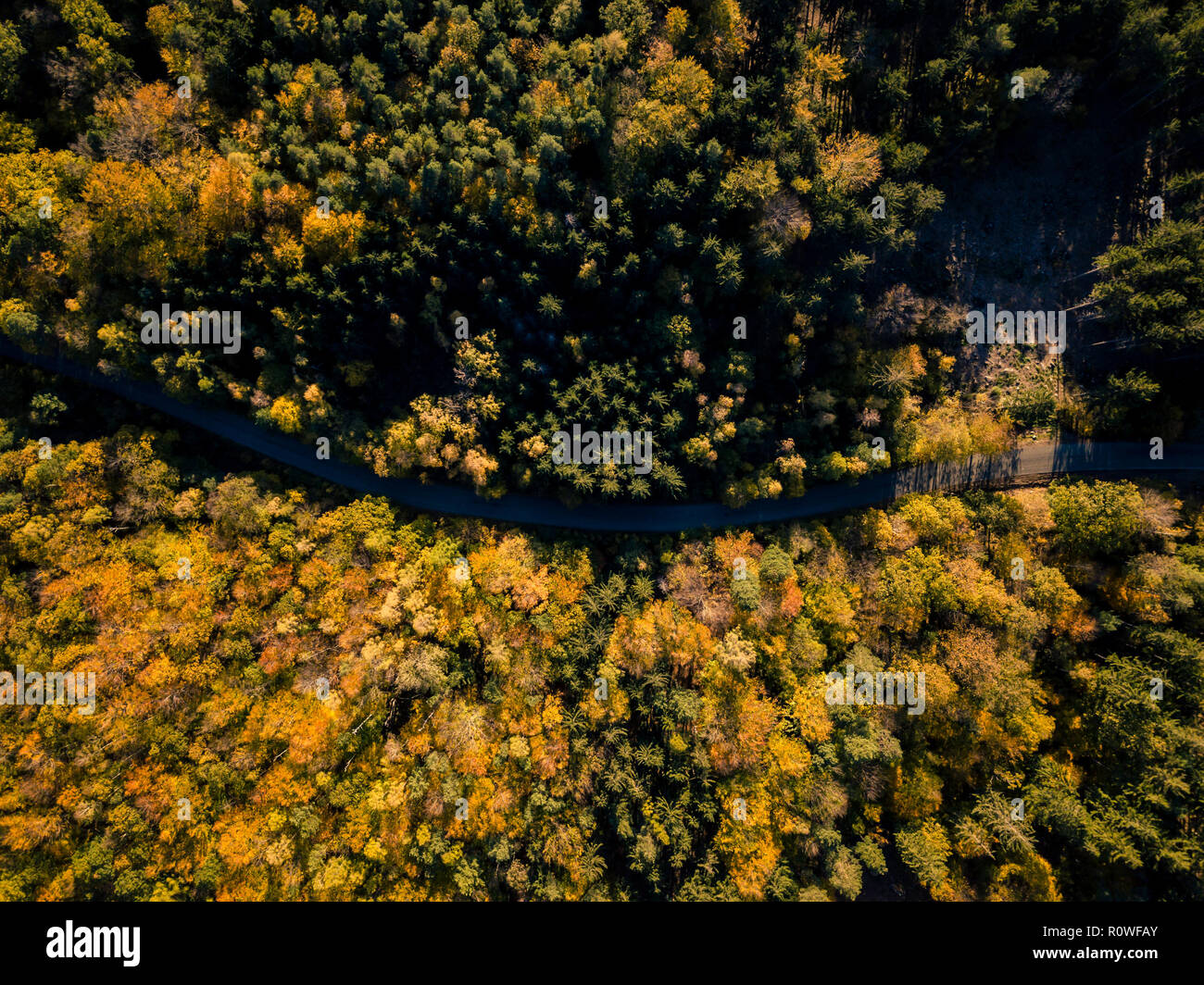 Luftaufnahme von der Straße in den Wald, von oben betrachten, drone Sicht. Inspirierende Herbst Landschaft Hintergrund. Stockfoto