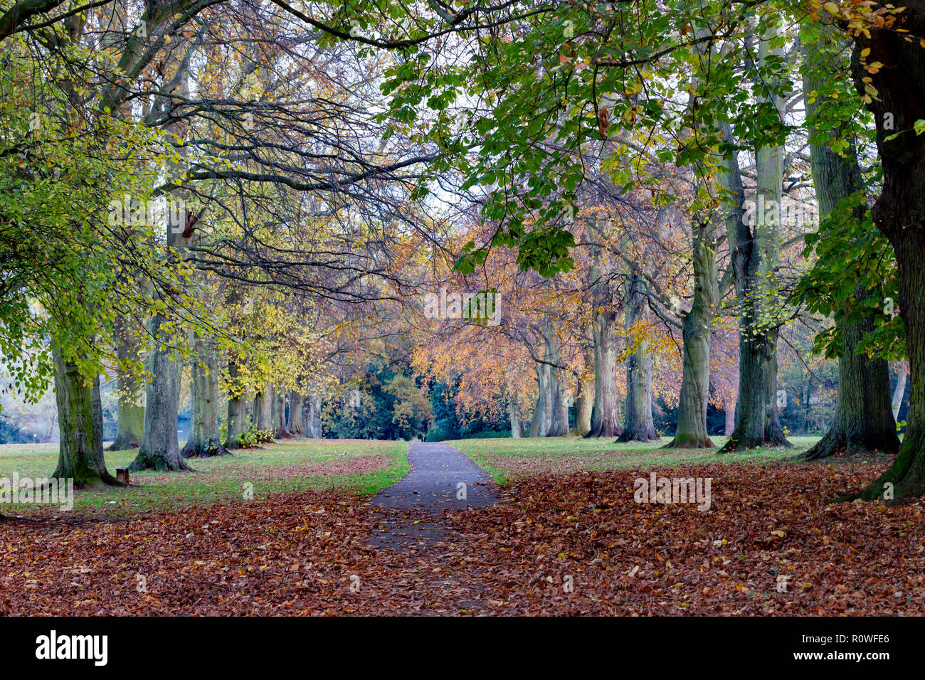 Ländliche, Grafschaft, keine Menschen, keine, keine Personen, friedlich, Northamptonshire Landschaft im Herbst Stockfoto