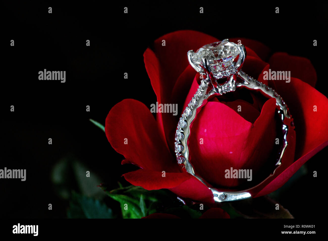 Diamond Engagement Ring auf rote Rose (Platin ebnen) Stockfoto