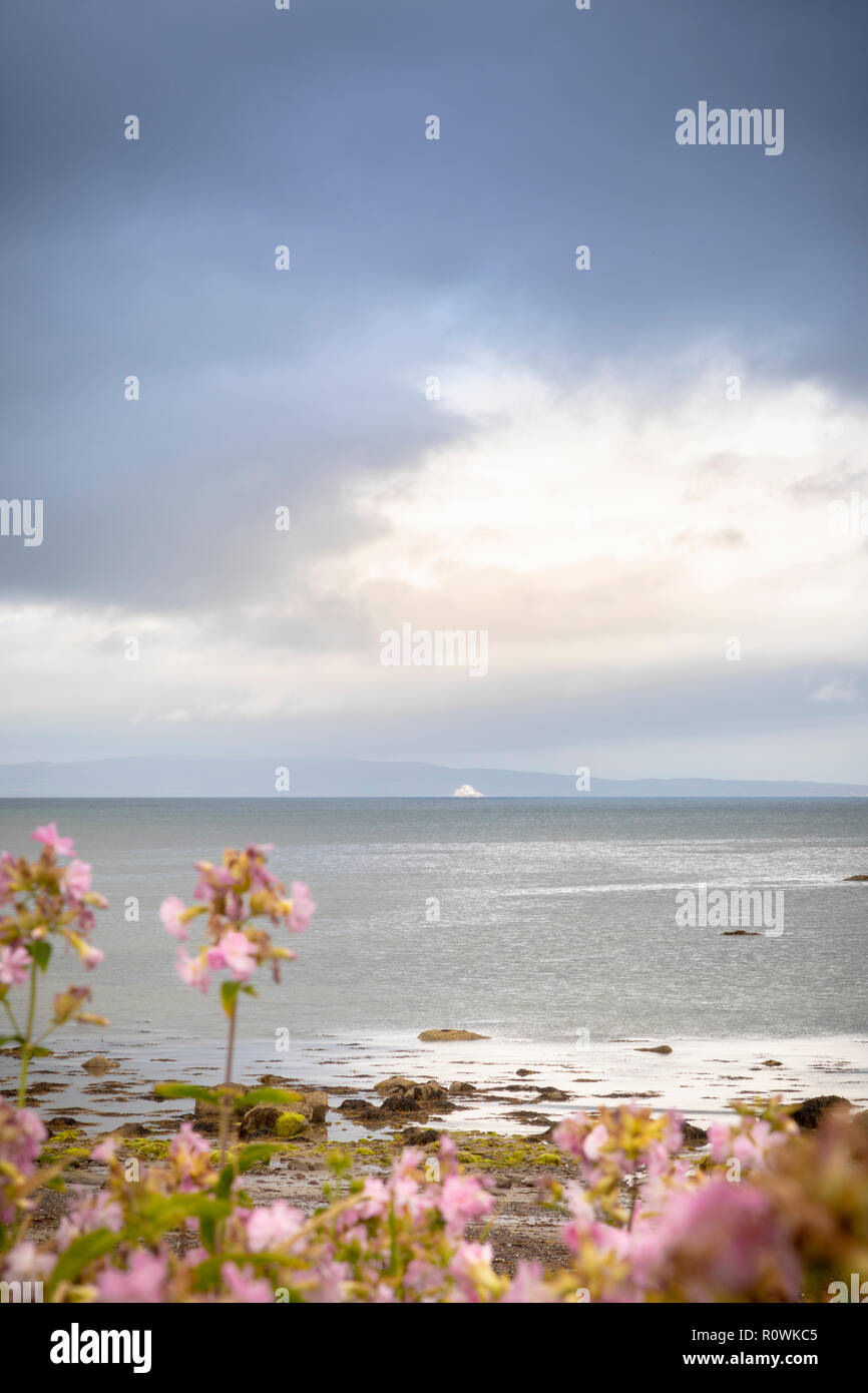 Blick von Maharees Strand an der Nordküste der Halbinsel Dingle, Irland, Europa. Stockfoto