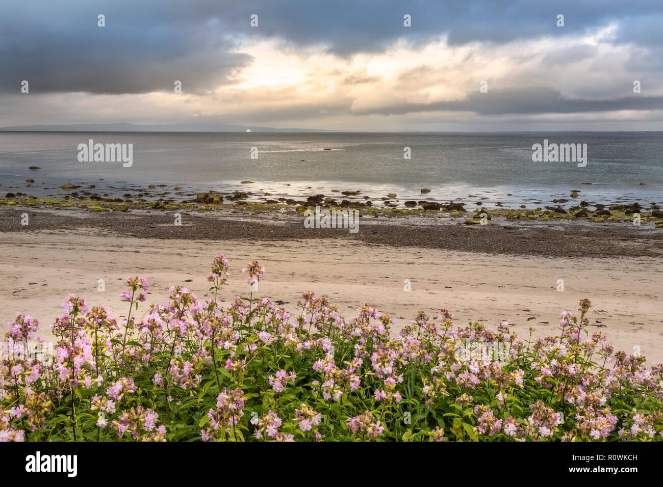 Blick von Maharees Strand an der Nordküste der Halbinsel Dingle, Irland, Europa. Stockfoto