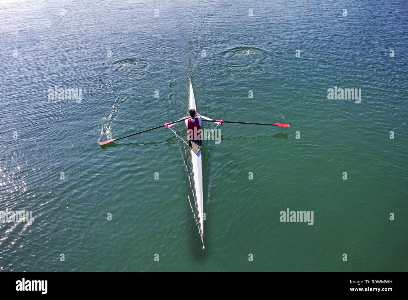 Single scull rudern Konkurrent, Rudern Rennen 1 Ruderer Stockfoto