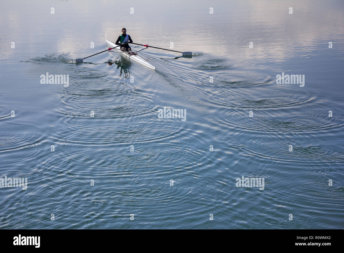 Single scull rudern Konkurrent, Rudern Rennen 1 Ruderer Stockfoto