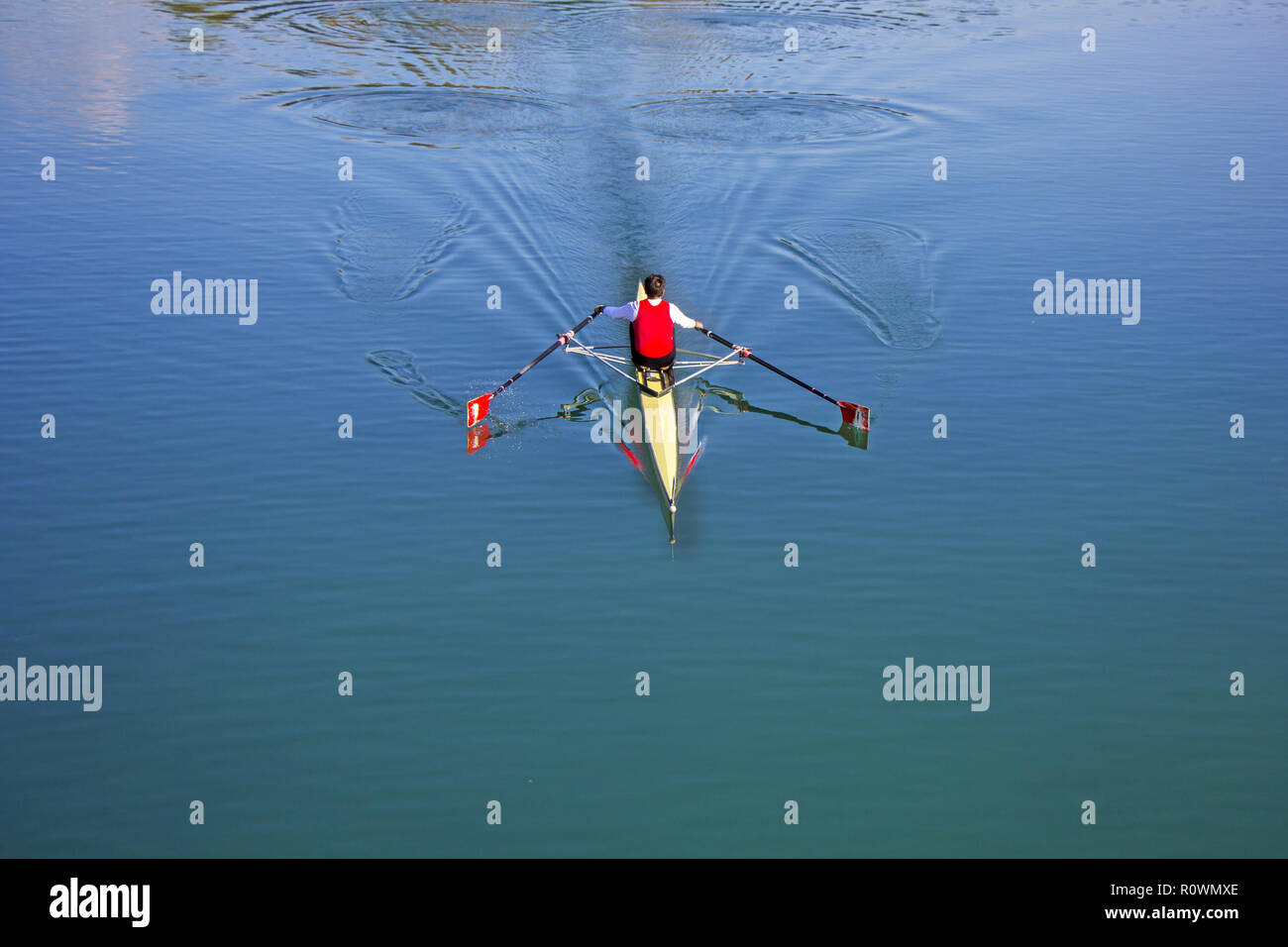 Single scull rudern Konkurrent, Rudern Rennen 1 Ruderer Stockfoto