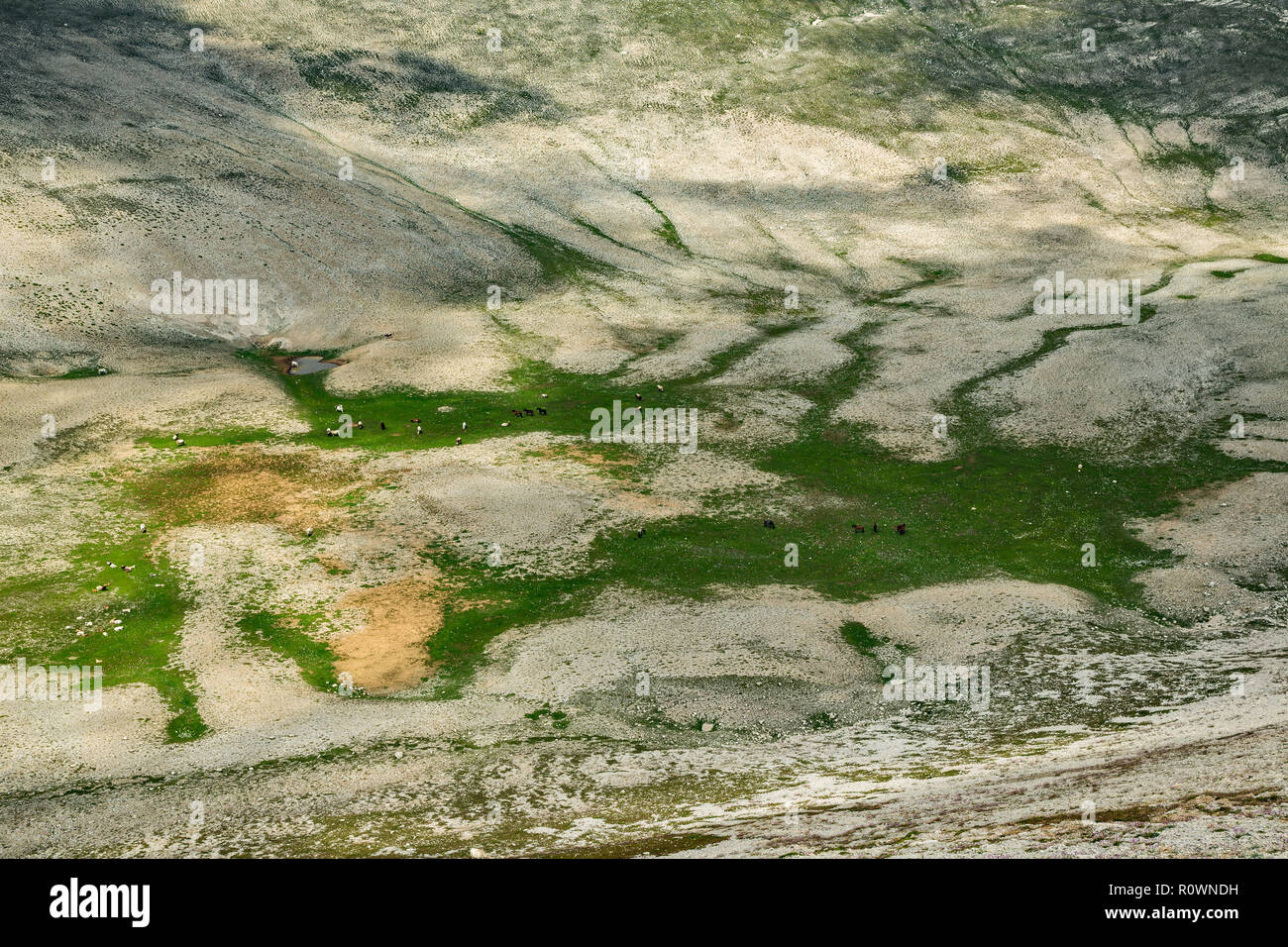Feuchtgebiet und Teich in das Tal in Richtung Monte Amaro Majella Gipfel, Abruzzen Stockfoto