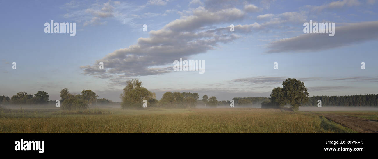 Spaetsommerliche Landschaft Stockfoto