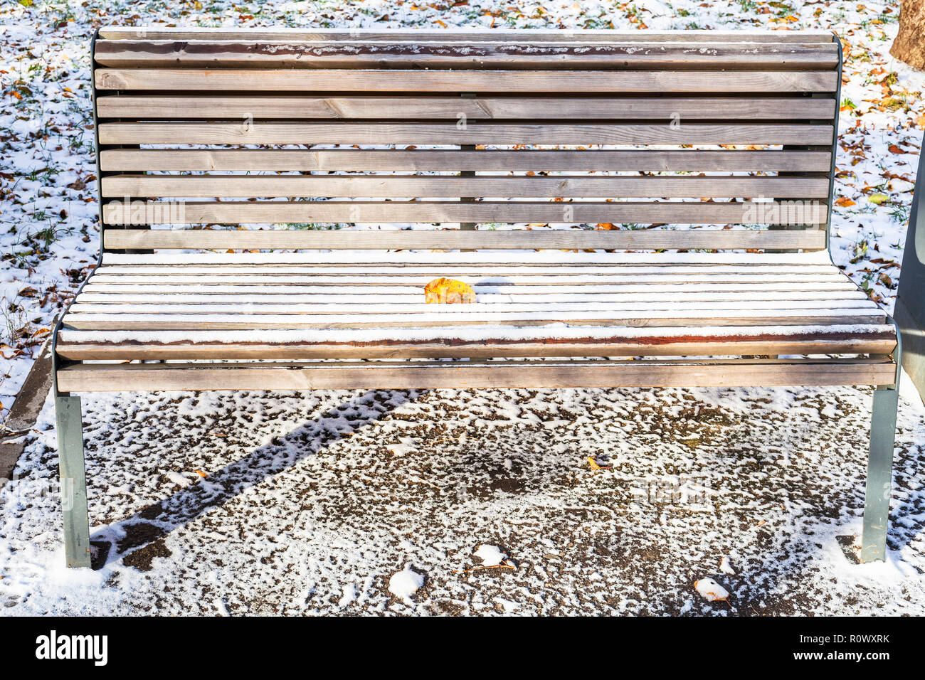 Holzbank mit gefallenen Blätter mit dem ersten Schnee im städtischen Garten im frostigen Herbst Tag abgedeckt Stockfoto