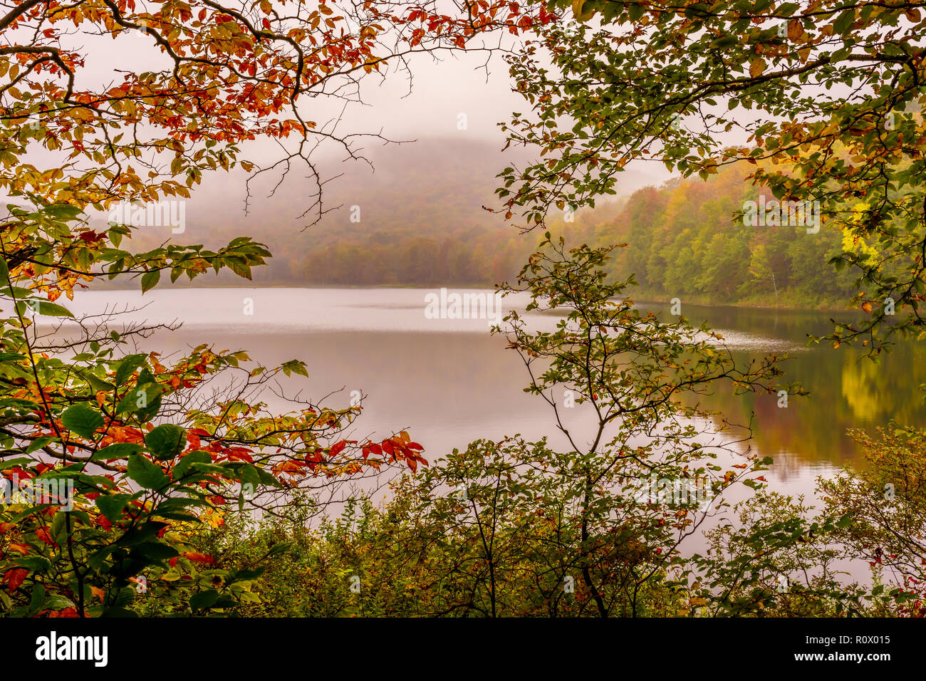 Großen Teich in den Catskill Mountains von New York State mit einer frühen Morgennebel und Bäume wechselnden Farben im Herbst.. Stockfoto
