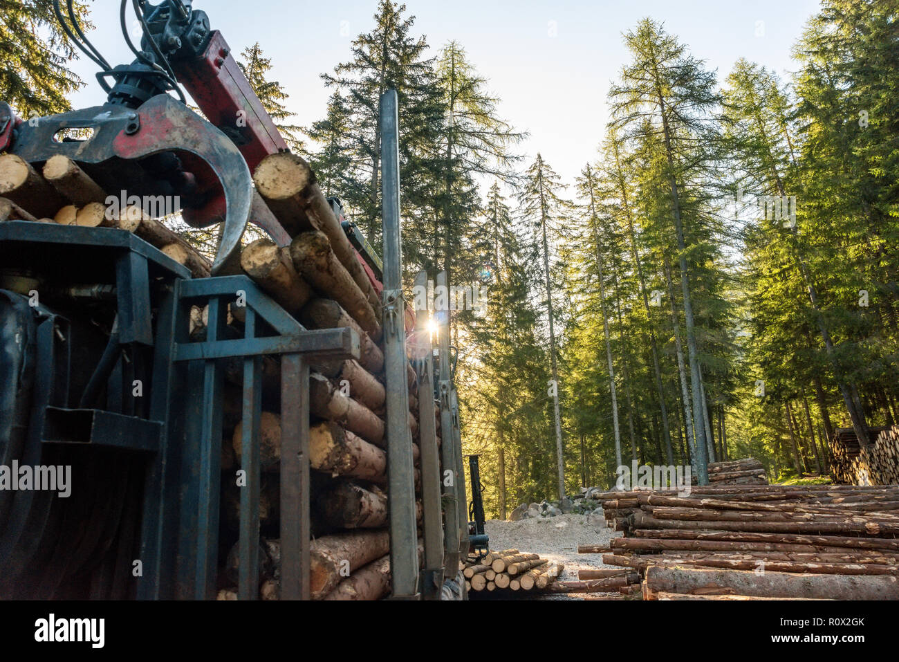 Gabelstapler Greifer Holz in Holz Verarbeitungsbetrieb Stockfoto