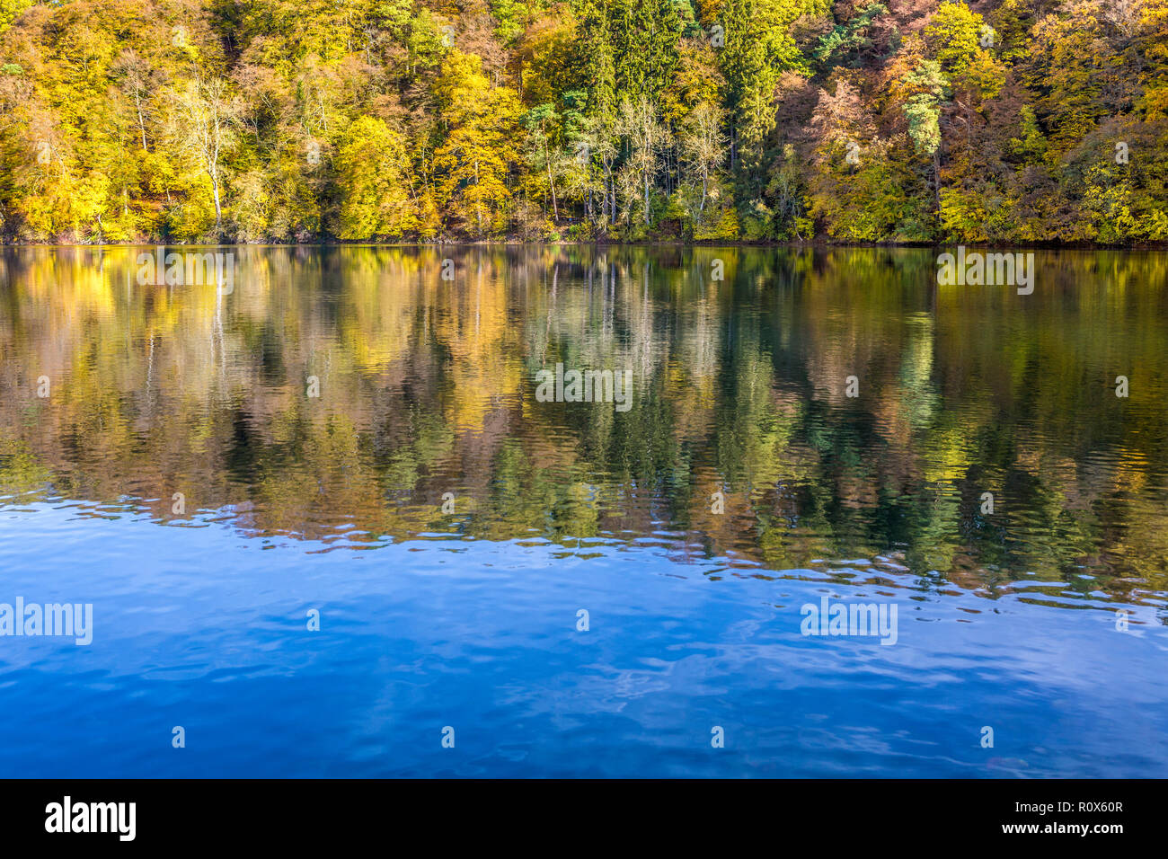 Muster von Bäumen im Herbst und Reflexion im See, Deutschland Stockfoto