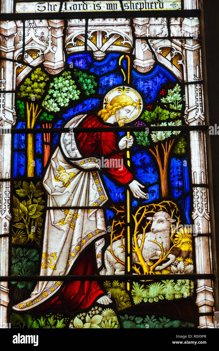 England, East Sussex, Roggen, die Pfarrkirche St. Maria, des Guten Hirten, Fenster Stockfoto