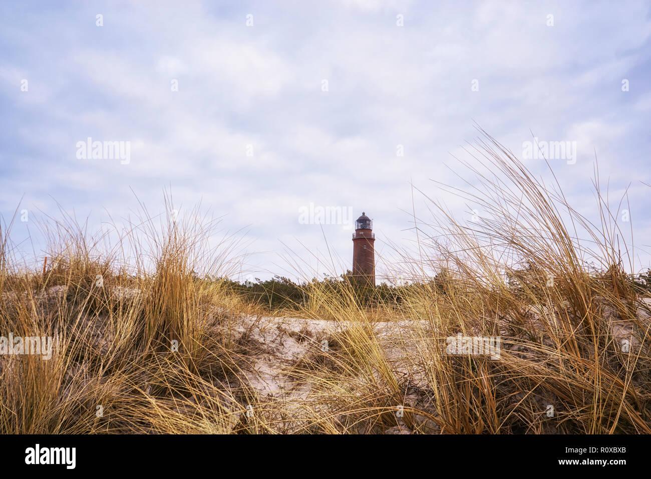 Leuchtturm hinter den Dünen, Darßer Ort an der Ostsee. Deutschland Stockfoto