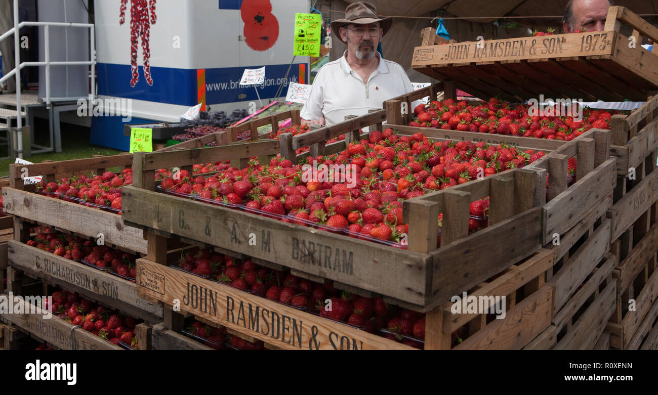 Festlegung der Fächer von Erdbeeren bereit für den Verkauf an die Besucher der großen Yorkshire zeigen Stockfoto