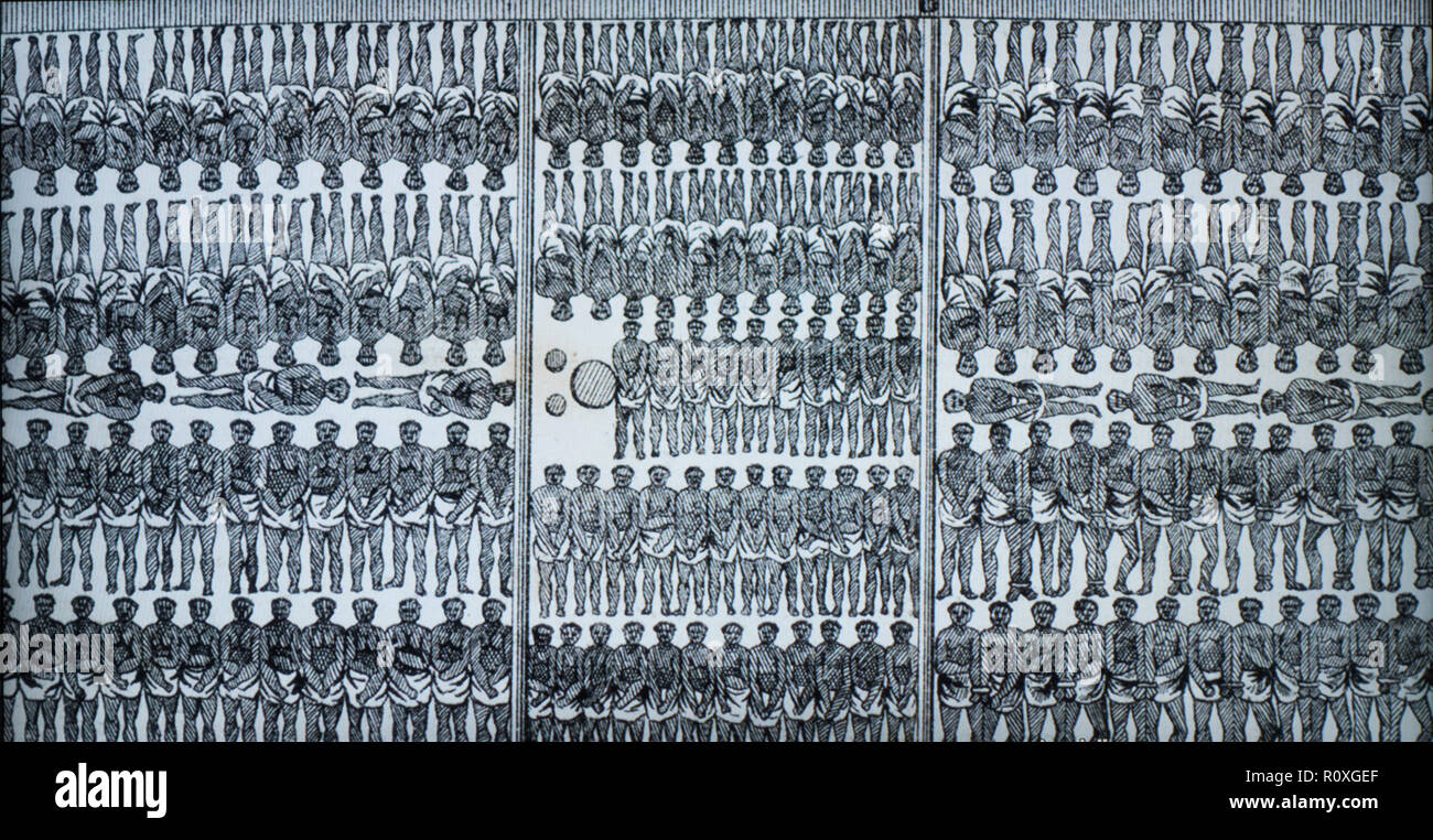 National Museum of African American History und Kultur Washington DC Stockfoto