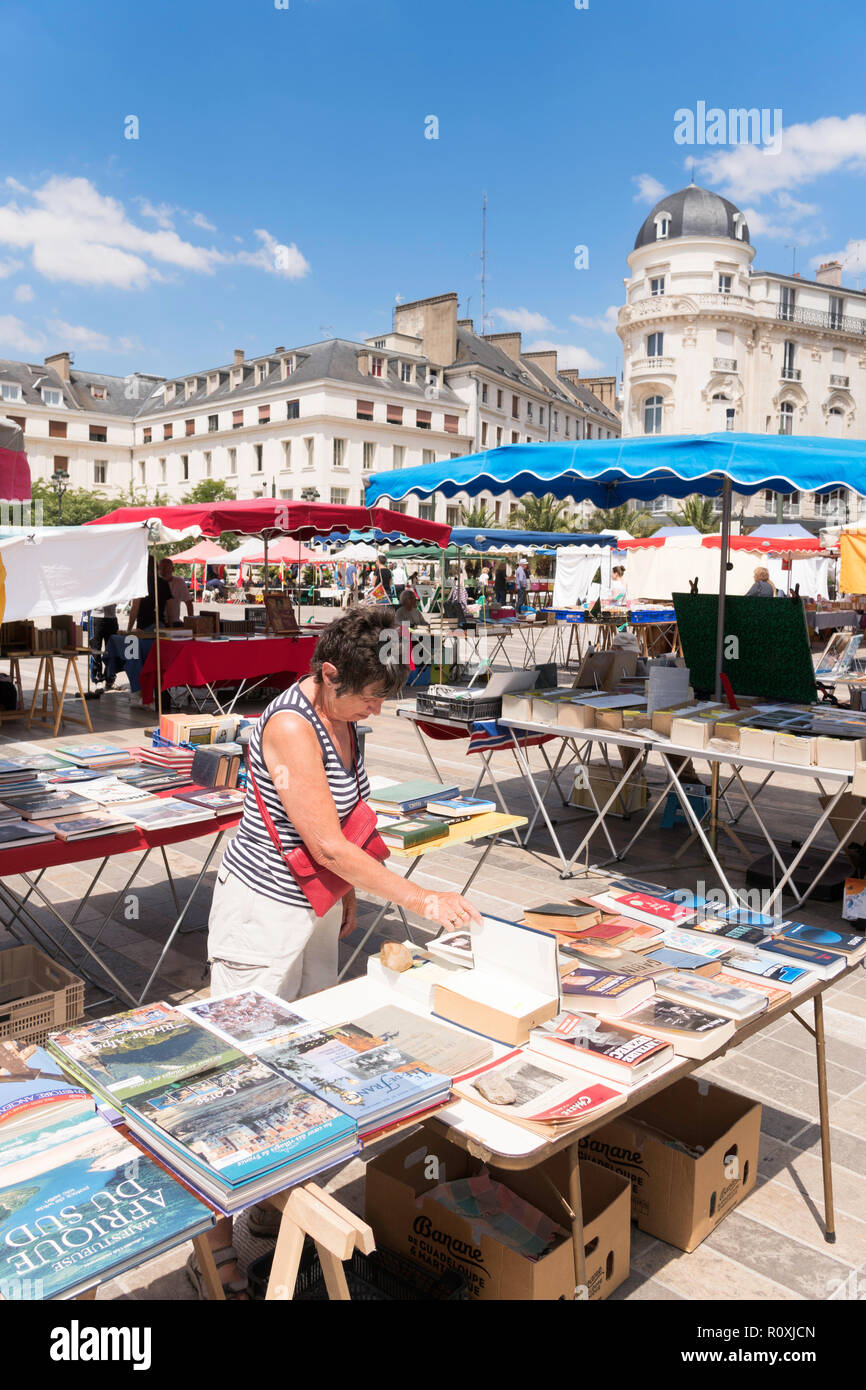 Frau browsing verwendet Bücher auf einem Markt, auf dem Place du Martroi, Orléans, Center-Val de Loire, Frankreich, Europa Abschaltdruck Stockfoto