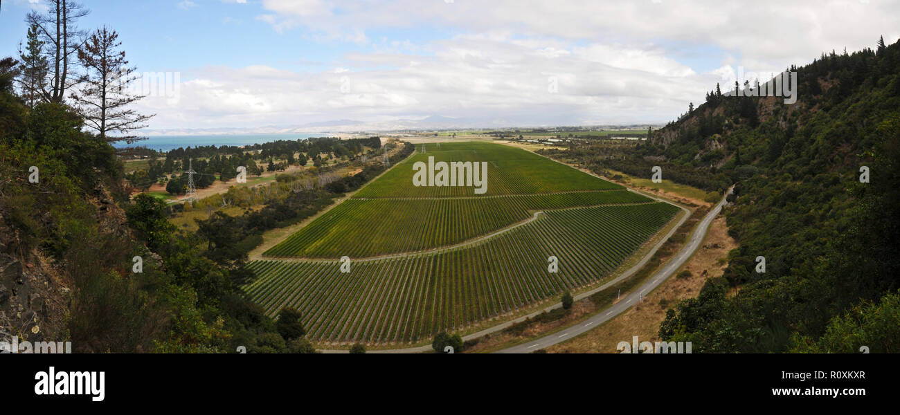 Um Neuseeland - Marlborough Wine Country - Panoramabild der Felder der Weinreben Stockfoto