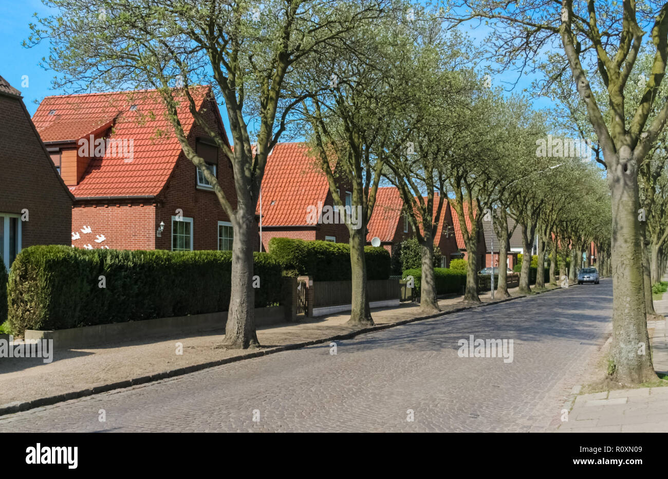 Eine typische Wohngegend mit ähnlich aussehenden roten Backsteinhäuser, rote Dachziegel und grünen Sträuchern an einem Baum Avenue mit einer gepflasterten Straße in ... Stockfoto