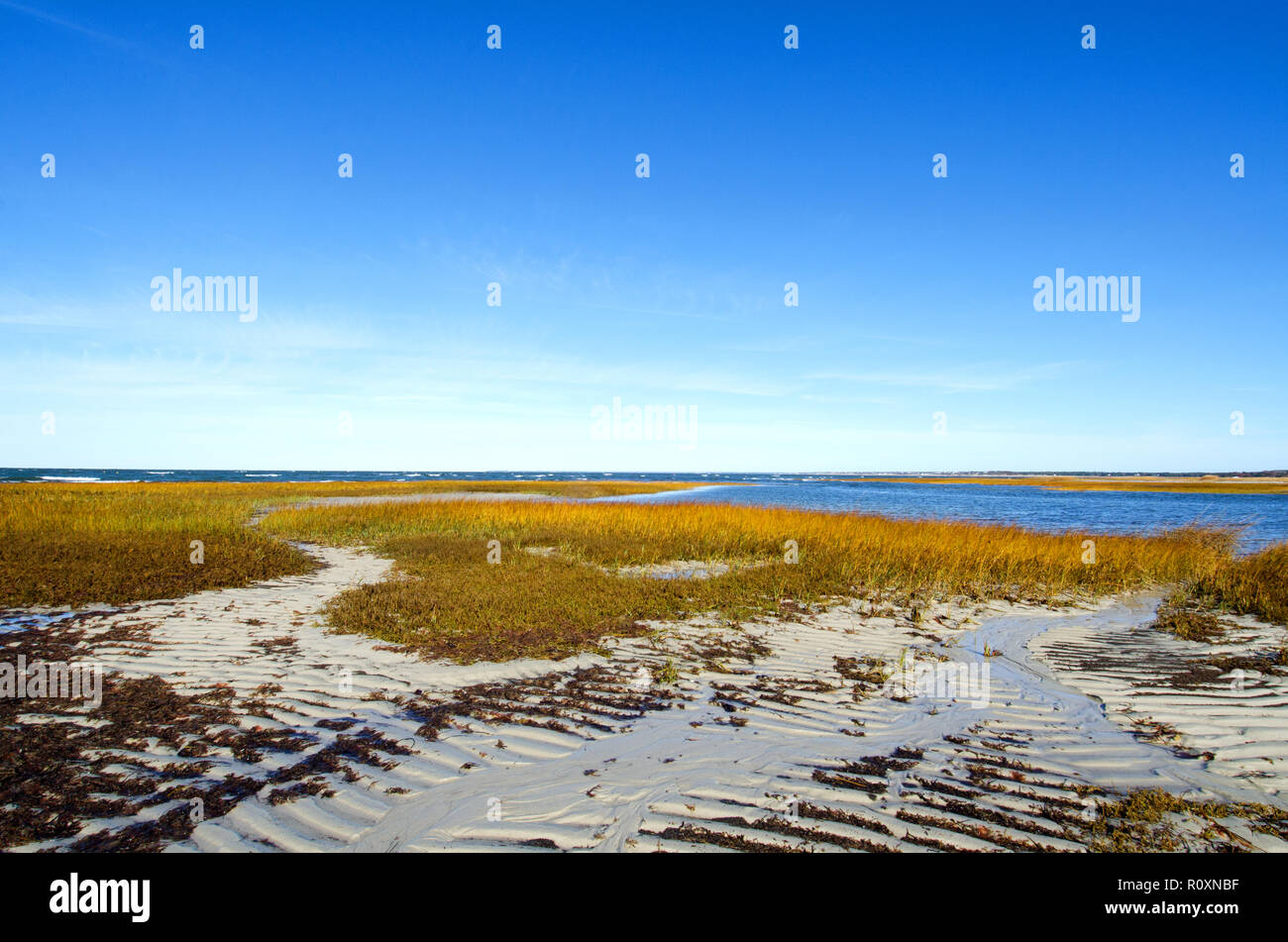 Skaket Beach in Orleans, Cape Cod, Massachusetts, USA bei Ebbe mit einem klaren, blauen Himmel und Sandstrand Gras Stockfoto