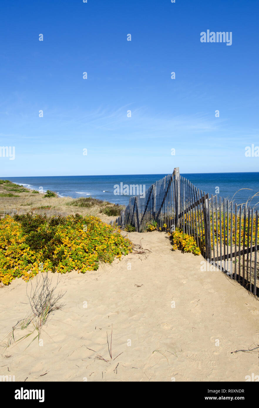 Malerischer Blick auf Marconi Station auf der Cape Cod National Seashore in Wellfleet, Massachusetts mit Dünen, Meer und einem klaren, blauen Himmel Stockfoto