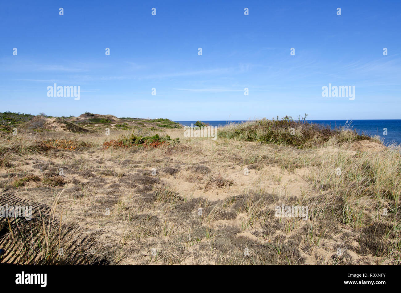 Die malerische Landschaft mit Sanddünen, Vegetation und Meer hinaus an Marconi Station, Cape Cod National Seashore in Wellfleet, Massachusetts, USA Stockfoto