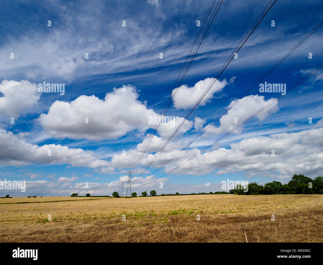 Stromleitungen über Essex Felder Stockfoto