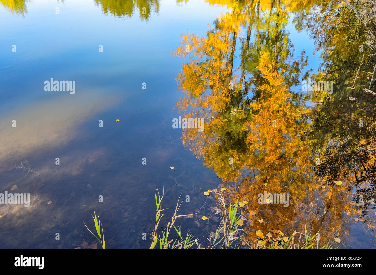 Herbst goldene Laub von Bäumen, blauer Himmel mit Wolken in der ruhigen See Wasser wider. Malerischer Herbst Landschaft am sonnigen Tag. Aquarellfarbe Stockfoto